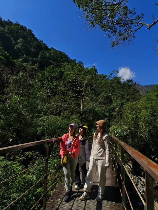 31427.jpg - 【宜蘭】松羅國家步道。平緩好走森林感十足。蕨類植物超級多像隧道的場景超好拍