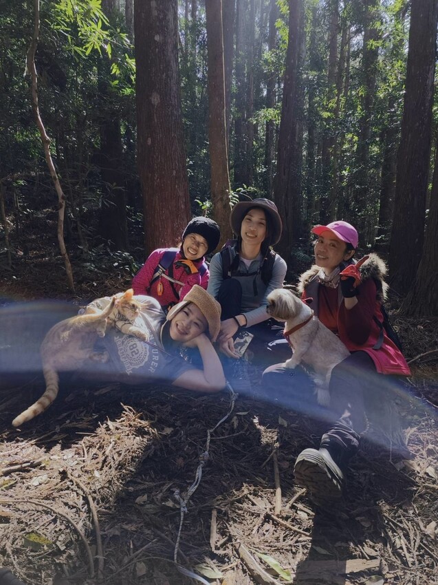 34675.jpg - 【新竹.五峰】油羅山標高1764公尺中級山。林相很美媲美高島三角點無展望。陡上陡下頗濕滑不適合帶寵物 34675.jpg - 【新竹.五峰】油羅山標高1764公尺中級山。林相很美媲美高島三角點無展望。陡上陡下頗濕滑不適合帶寵物