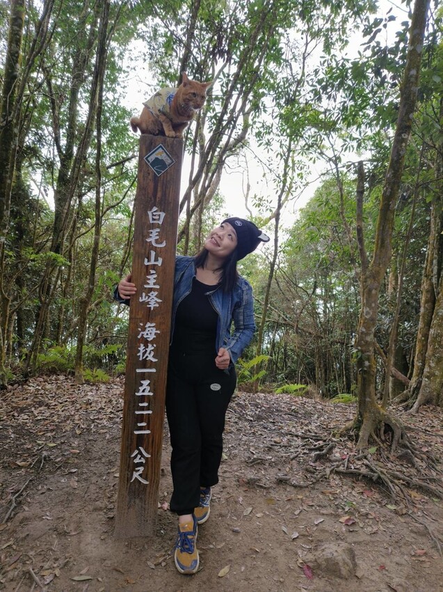 27660.jpg - 【台中.谷關】初次挑戰谷關七雄之一老六白毛山。山頂展望很棒。攜帶辛巴上山 27660.jpg - 【台中.谷關】初次挑戰谷關七雄之一老六白毛山。山頂展望很棒。攜帶辛巴上山