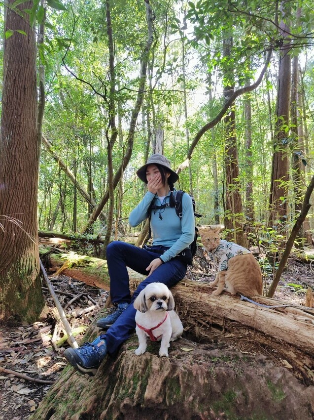 34616.jpg - 【新竹.五峰】油羅山標高1764公尺中級山。林相很美媲美高島三角點無展望。陡上陡下頗濕滑不適合帶寵物 34616.jpg - 【新竹.五峰】油羅山標高1764公尺中級山。林相很美媲美高島三角點無展望。陡上陡下頗濕滑不適合帶寵物