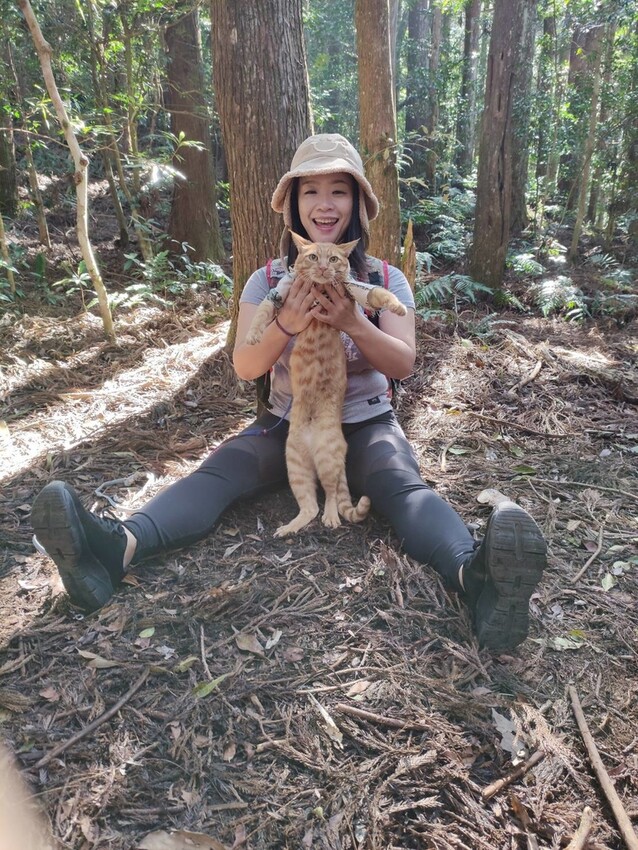 34575.jpg - 【新竹.五峰】油羅山標高1764公尺中級山。林相很美媲美高島三角點無展望。陡上陡下頗濕滑不適合帶寵物 34575.jpg - 【新竹.五峰】油羅山標高1764公尺中級山。林相很美媲美高島三角點無展望。陡上陡下頗濕滑不適合帶寵物