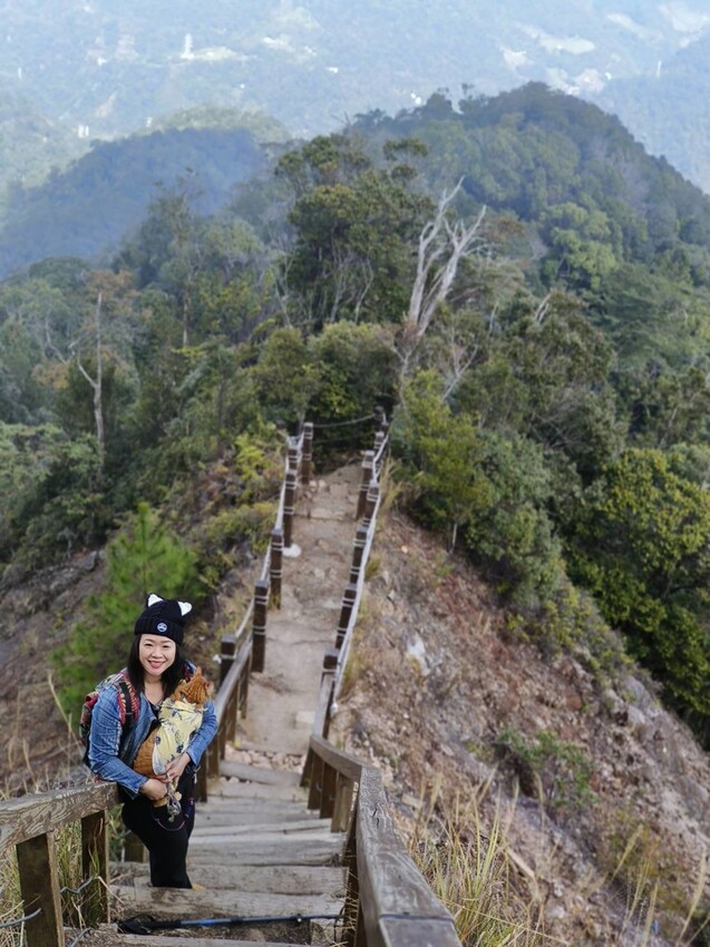 27658.jpg - 【台中.谷關】初次挑戰谷關七雄之一老六白毛山。山頂展望很棒。攜帶辛巴上山 27658.jpg - 【台中.谷關】初次挑戰谷關七雄之一老六白毛山。山頂展望很棒。攜帶辛巴上山