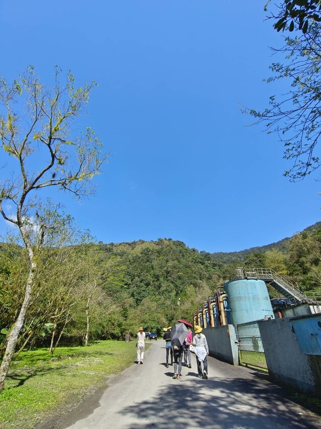 31438.jpg - 【宜蘭】松羅國家步道。平緩好走森林感十足。蕨類植物超級多像隧道的場景超好拍