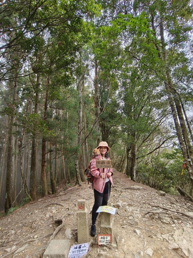 34594.jpg - 【新竹.五峰】油羅山標高1764公尺中級山。林相很美媲美高島三角點無展望。陡上陡下頗濕滑不適合帶寵物 34594.jpg - 【新竹.五峰】油羅山標高1764公尺中級山。林相很美媲美高島三角點無展望。陡上陡下頗濕滑不適合帶寵物