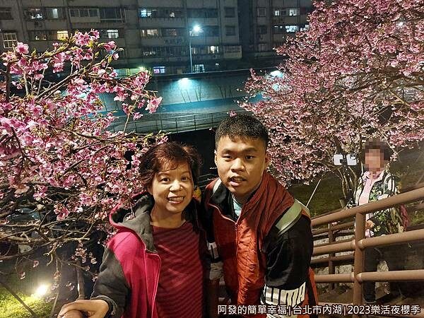 樂活公園夜櫻09-土坡的階梯留影.jpg