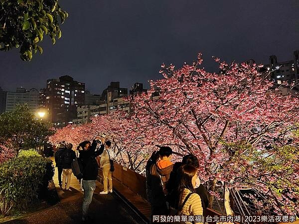 樂活公園夜櫻03-人潮.jpg