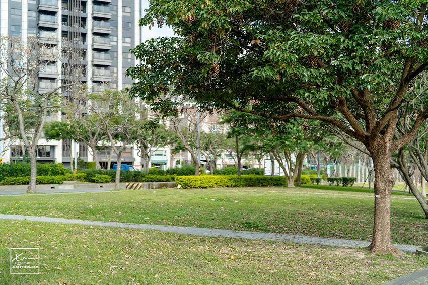 桃園｜青埔公園【青昇公園】籃球場 / YouBike / 青昇宮 | 快門下的幸福