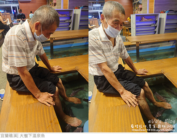 大樹下溫泉魚-17.jpg