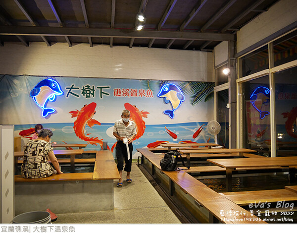 大樹下溫泉魚-06.jpg