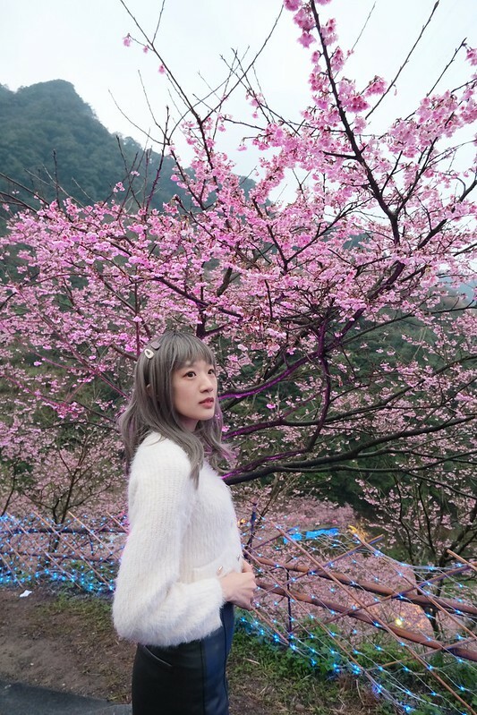 SNOW_20230131_155635_081