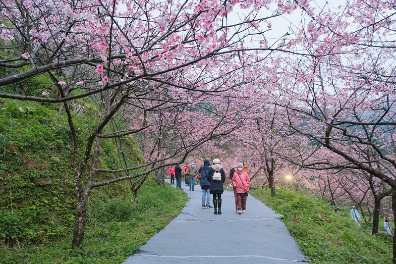 SNOW_20230131_230837_505