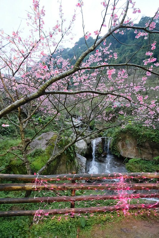 SNOW_20230131_231021_109