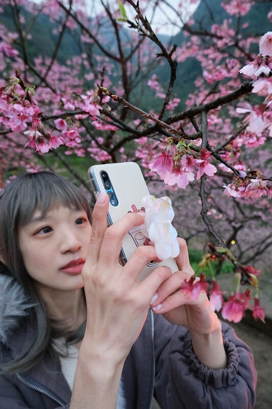 SNOW_20230131_160230_899