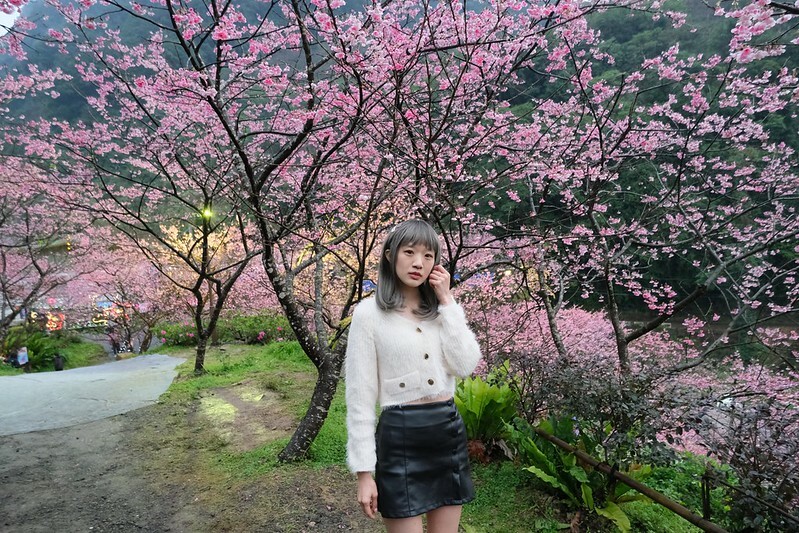 SNOW_20230131_230721_829