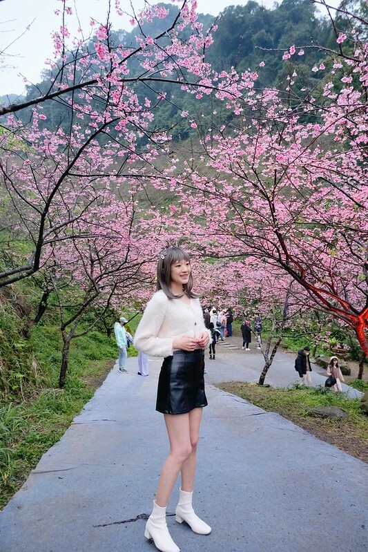 SNOW_20230131_231232_677