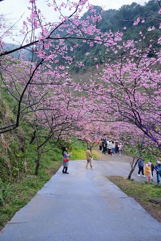 SNOW_20230131_231048_185