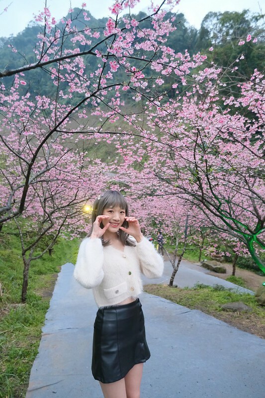 SNOW_20230131_231532_093