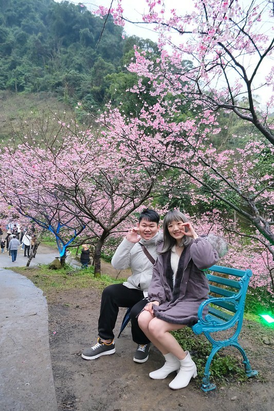 SNOW_20230131_231433_739