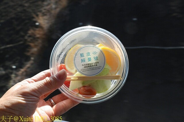 IMG_3085.jpg - 藍皮解憂號 20230122