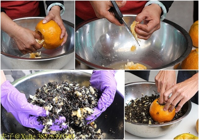 38525390340.jpg - 六龜山茶故事館 20230215