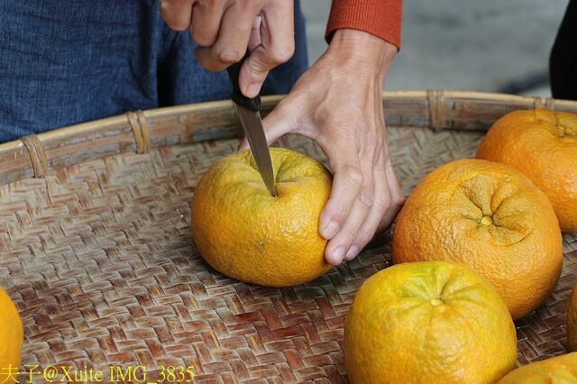 IMG_3835.jpg - 六龜山茶故事館 20230215