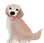 黃金犬.gif