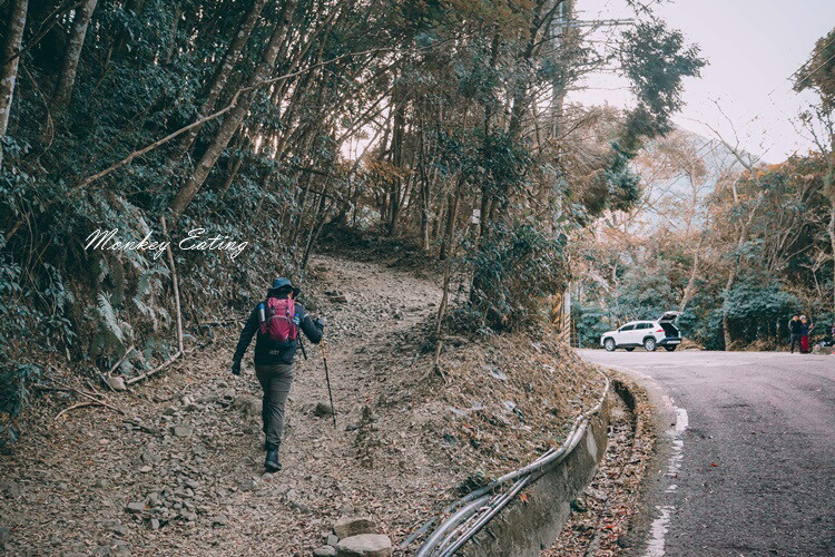 【大雪山林道】長壽山1860峰、大崠山P型連走。絕美香杉林道、竹木林道 - 貪吃猴的幻想