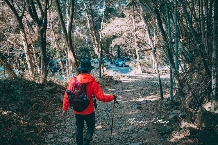 【大雪山林道】長壽山1860峰、大崠山P型連走。絕美香杉林道、竹木林道 - 貪吃猴的幻想