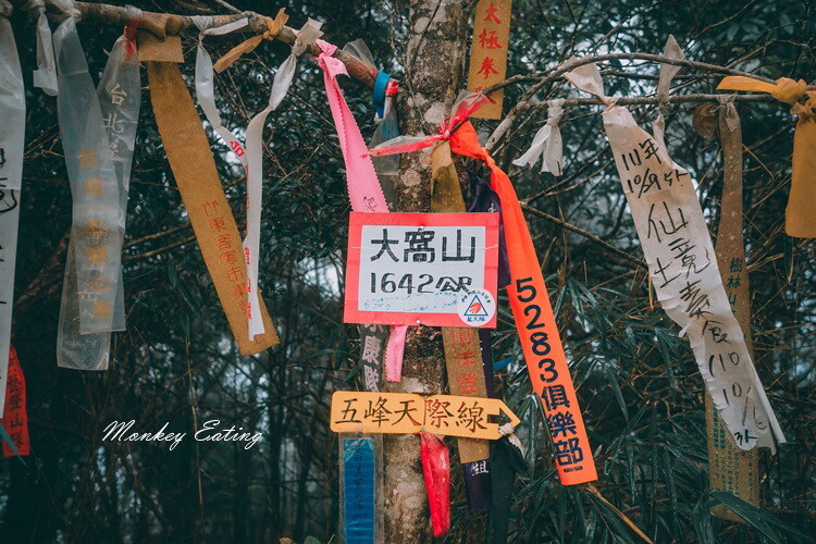 【比大鳥縱走】苗栗中級山推薦,迷幻森林超仙。鳥嘴山、大窩山、比林山 - 貪吃猴的幻想