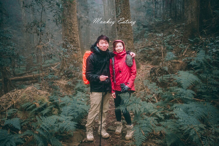 【比大鳥縱走】苗栗中級山推薦,迷幻森林超仙。鳥嘴山、大窩山、比林山 - 貪吃猴的幻想