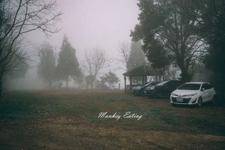 【比大鳥縱走】苗栗中級山推薦,迷幻森林超仙。鳥嘴山、大窩山、比林山 - 貪吃猴的幻想