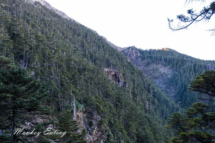 【玉山主峰單攻】一日單攻台灣最高峰，新手百岳攻略行前準備，申請、交通、裝備 - 貪吃猴的幻想