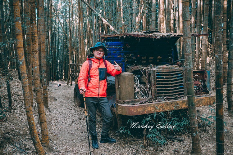 【大雪山林道】長壽山1860峰、大崠山P型連走。絕美香杉林道、竹木林道 - 貪吃猴的幻想