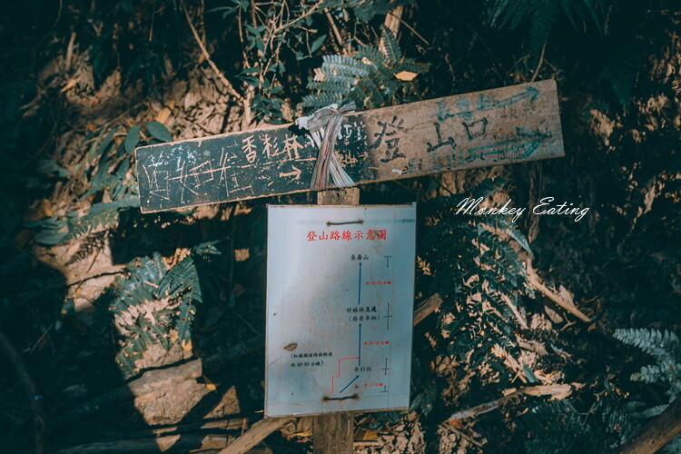 【大雪山林道】長壽山1860峰、大崠山P型連走。絕美香杉林道、竹木林道 - 貪吃猴的幻想