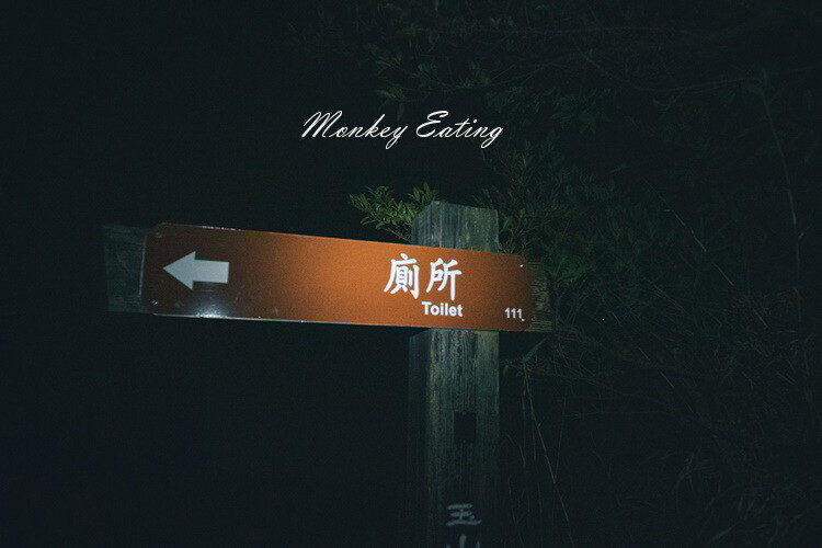 【玉山主峰單攻】一日單攻台灣最高峰，新手百岳攻略行前準備，申請、交通、裝備 - 貪吃猴的幻想