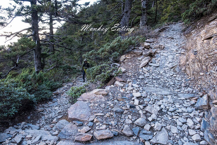 【玉山主峰單攻】一日單攻台灣最高峰，新手百岳攻略行前準備，申請、交通、裝備 - 貪吃猴的幻想