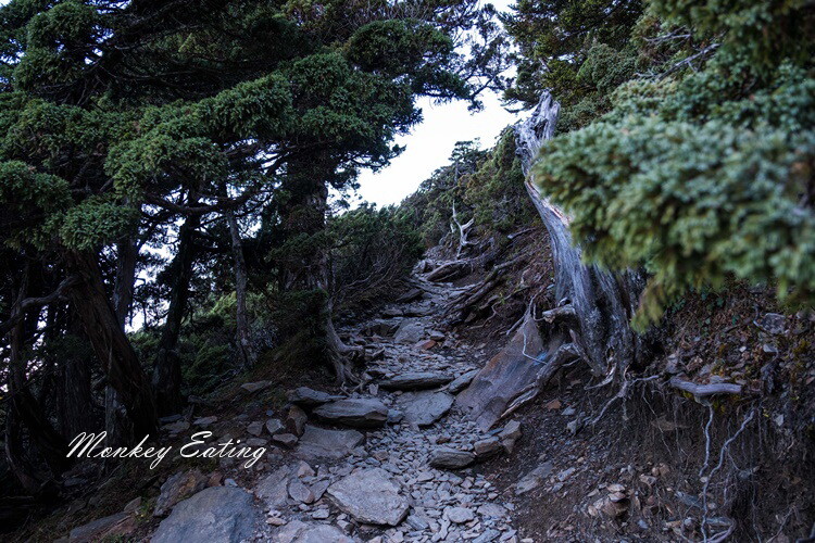 【玉山主峰單攻】一日單攻台灣最高峰，新手百岳攻略行前準備，申請、交通、裝備 - 貪吃猴的幻想
