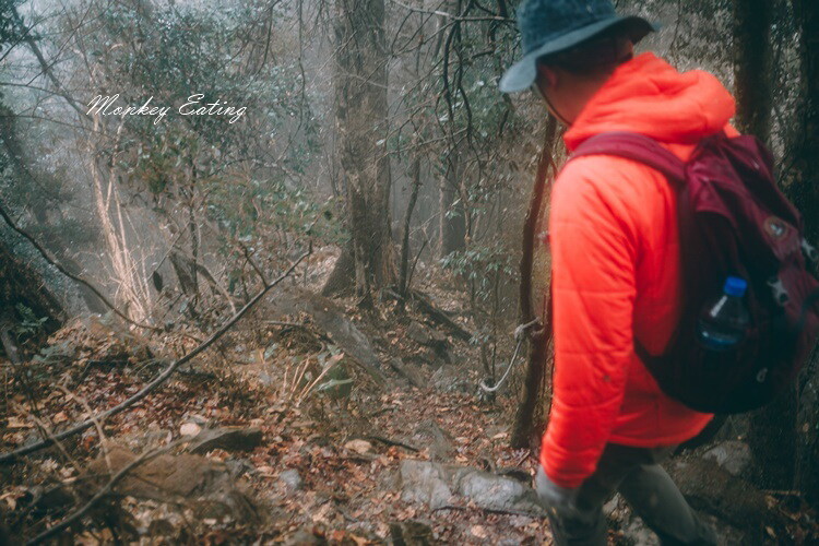 【比大鳥縱走】苗栗中級山推薦,迷幻森林超仙。鳥嘴山、大窩山、比林山 - 貪吃猴的幻想