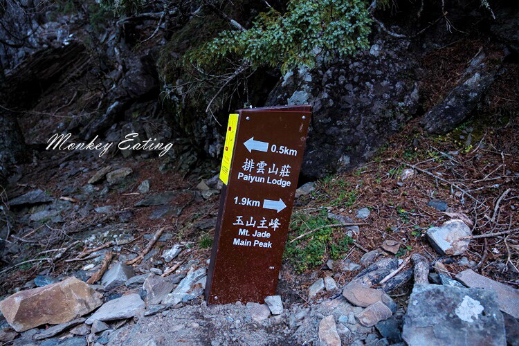 【玉山主峰單攻】一日單攻台灣最高峰，新手百岳攻略行前準備，申請、交通、裝備 - 貪吃猴的幻想