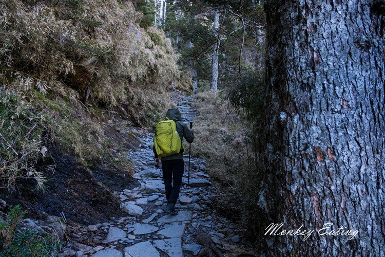 【玉山主峰單攻】一日單攻台灣最高峰，新手百岳攻略行前準備，申請、交通、裝備 - 貪吃猴的幻想