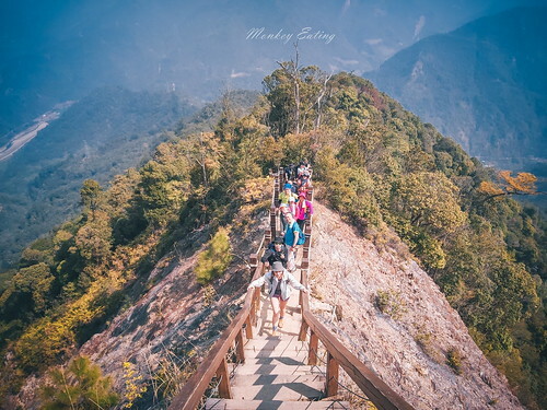【比大鳥縱走】苗栗中級山推薦,迷幻森林超仙。鳥嘴山、大窩山、比林山 - 貪吃猴的幻想