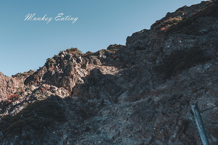 【玉山主峰單攻】一日單攻台灣最高峰，新手百岳攻略行前準備，申請、交通、裝備 - 貪吃猴的幻想