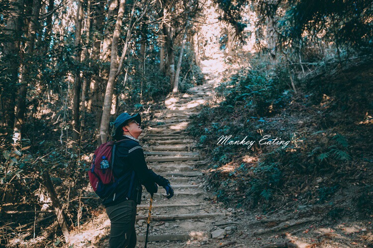 【大雪山林道】長壽山1860峰、大崠山P型連走。絕美香杉林道、竹木林道 - 貪吃猴的幻想