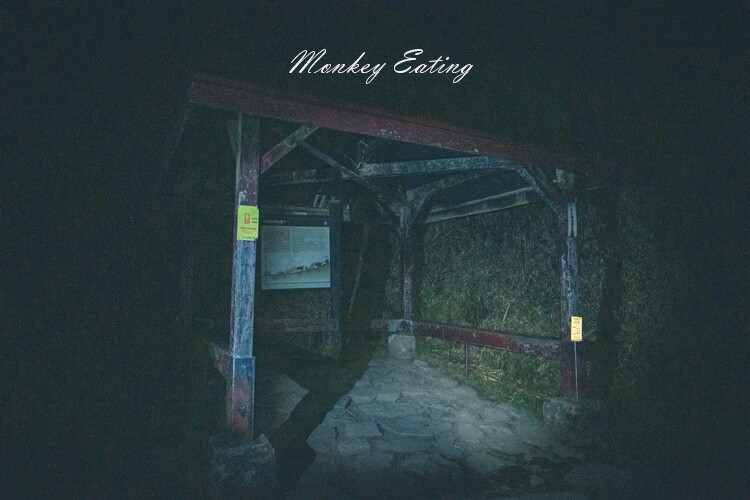 【玉山主峰單攻】一日單攻台灣最高峰，新手百岳攻略行前準備，申請、交通、裝備 - 貪吃猴的幻想