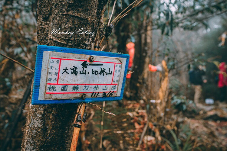 【比大鳥縱走】苗栗中級山推薦,迷幻森林超仙。鳥嘴山、大窩山、比林山 - 貪吃猴的幻想
