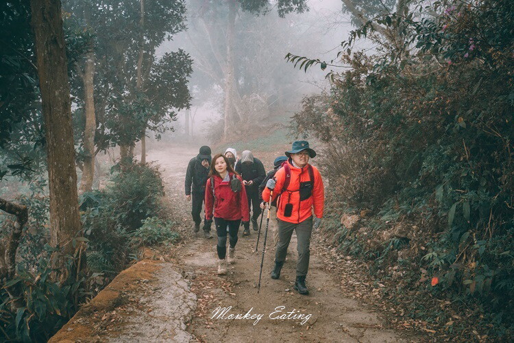 【比大鳥縱走】苗栗中級山推薦,迷幻森林超仙。鳥嘴山、大窩山、比林山 - 貪吃猴的幻想