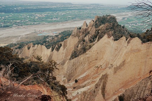 【比大鳥縱走】苗栗中級山推薦,迷幻森林超仙。鳥嘴山、大窩山、比林山 - 貪吃猴的幻想