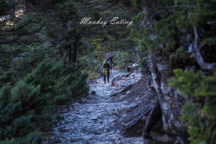 【玉山主峰單攻】一日單攻台灣最高峰，新手百岳攻略行前準備，申請、交通、裝備 - 貪吃猴的幻想