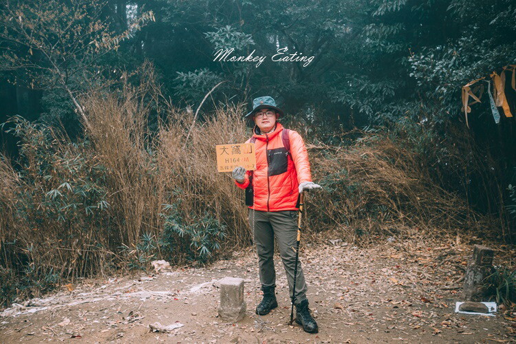 【比大鳥縱走】苗栗中級山推薦,迷幻森林超仙。鳥嘴山、大窩山、比林山 - 貪吃猴的幻想