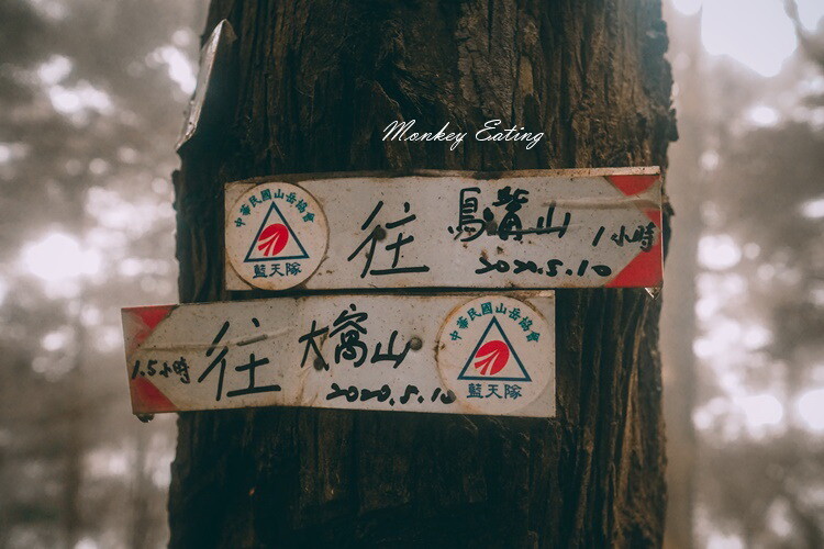 【比大鳥縱走】苗栗中級山推薦,迷幻森林超仙。鳥嘴山、大窩山、比林山 - 貪吃猴的幻想